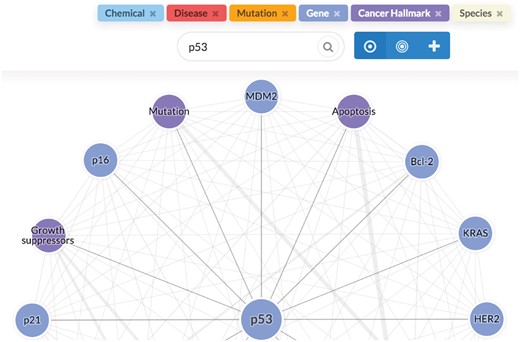 LION LBD user interface. The user query (p53) is shown together with controls switching between different discovery modes above the result graph, where nodes represent related concepts and edges their associations