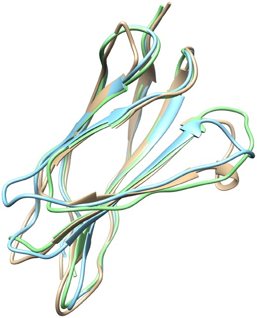Model differences. Query (yellow) and template proteins are 1QG3A and 1VA9A, respectively. The green model is generated from a structural alignment (TM-align), and the blue model is from HHsearch. The TM-scores of HHsearch and structural alignment are 0.801 and 0.881, respectively [Molecular graphics were performed with the UCSF Chimera (Pettersen et al., 2004) package.] (Color version of this figure is available at Bioinformatics online.)