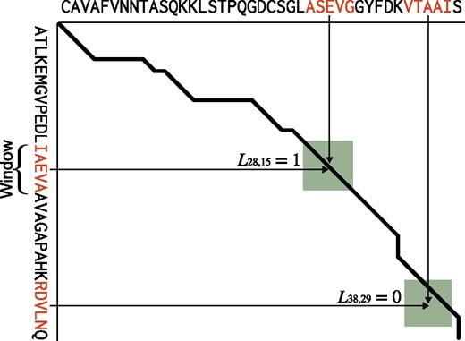 Overview of a feature vector encoding scheme. The X and Y axes show an amino acid sequence. The bold black line shows the structural alignment path between the sequences on the X and Y axes, with the green rectangle indicating the window. The feature vector set is calculated only within this window. The feature vector is the concatenation of the PSSM columns of the window subsequence. If the current column is on the line, the label is 1; otherwise, it is 0 (Color version of this figure is available at Bioinformatics online.)