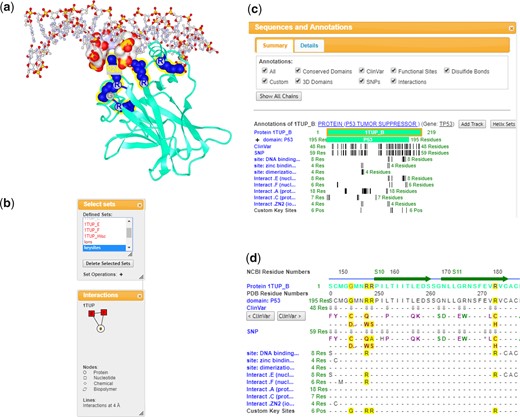 iCn3D visualizing the structure of tumor suppressor P53 complexed with DNA (PDB code 1TUP). This display can be reproduced in a live browser window with the shortened sharable link: https://icn3d.page.link/2rZWsy1LZmtTS3kBA. (a) ‘iCn3D PNG Image’ saved using the option ‘Save File’ in the File menu. (b) A list of defined sets including chains and custom sets (top), and a 2D schematic of the molecules involved in the complex structure (bottom). (c) Summary view of sequences and annotations with residues represented as vertical bars. (d) Detailed view of sequences and annotations