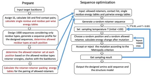 Flowchart of the sequence design process. The left side shows the prepare phase, while the right side shows sequence optimization via Monte Carlo simulated annealing