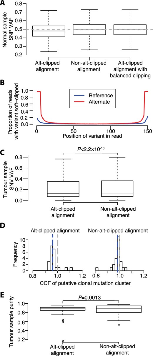 Evidence of reference bias from Isaac. (A) Heterozygous SNP VAF distributions in sequencing data from 25 normal samples. Dashed line represents expected median VAF of 0.5. Whiskers extend 1.5 times inter-quartile range and values outside of this range are not shown. (B) Proportion of reads covering SNP positions supporting the reference (blue line) and alternate (red line) alleles with that read position soft clipped. (C) SNV VAFs from 25 tumor-normal pairs. (D) CCFs of clonal mutation clusters identified by DPClust. Blue and grey dashed lines denote the median putative clonal mutation cluster CCF and a CCF of 1, respectively. (E) Ccube sample purity estimates. Distribution differences assessed using Wilcoxon Signed-Rank test