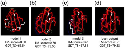 Comparison of different models of TR829 and real structure (a) initial model 1, (b) initial model 2, (c) initial model 3 and (d) best-output model. Residues with d < 5Å in red and residues with d > 5Å in white. (Color version of this figure is available at Bioinformatics online.)
