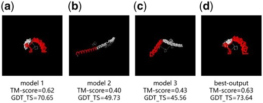 Comparison of different models of R0979 and the experimental structure. (a) initial model 1, (b) initial model 2, (c) initial model 3 and (d) AIR first model. Residues with d < 5Å in red and residues with d > 5Å in white. (Color version of this figure is available at Bioinformatics online.)