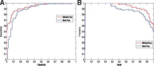 (A) The ROC curves of MM-6mAPred and i6mA-Pred. (B) The PRC curves of MM-6mAPred and i6mA-Pred