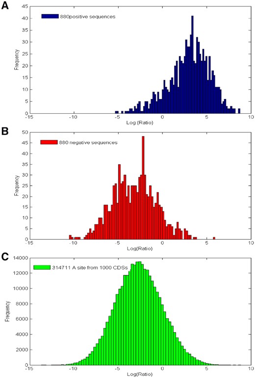 The histograms of log(Ratio) from the 880 positive sequences (A), the 880 negative sequences (B) and the 314 711 adenine sites from the 1000 random CDSs (C), respectively 