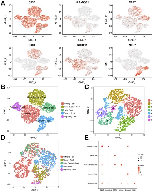 Neural network predicts sub cell types. (A) TSNE plots showing six maker genes’ expression for the reference T cell subtypes. (B) T cell subtypes obtained to train the neural network. (C) T cells from the human PBMC were grouped into seven clusters by the unsupervised method. (D) Subtypes predicted for the T cells from the human PBMC. (E) Dot plot showing the expression of six genes for the predicted subtypes, dot size represents the percentage of cells expressing the gene, color scale represents the expression level of the gene