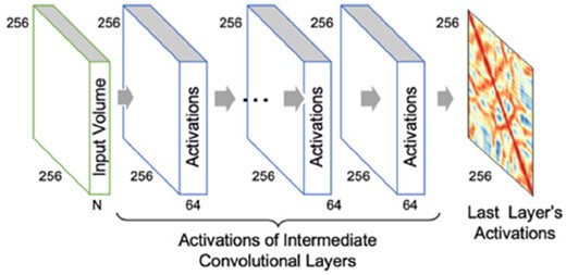 General architecture for training and testing. Filters in the first layer of convolutional neural network slide through the input volume for each protein with a 300 × 300 × 56 matrix (56 input channels) producing activation volumes. One filter in the last layer slides through the activation volume of the previous layer to generate the final activations at each position of the 256 × 256 matrix