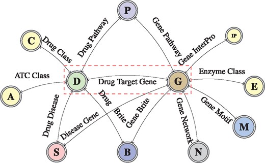 A graph schema for a knowledge graph about drugs, their target genes, pathways, diseases and gene networks extracted from KEGG and UniProt databases