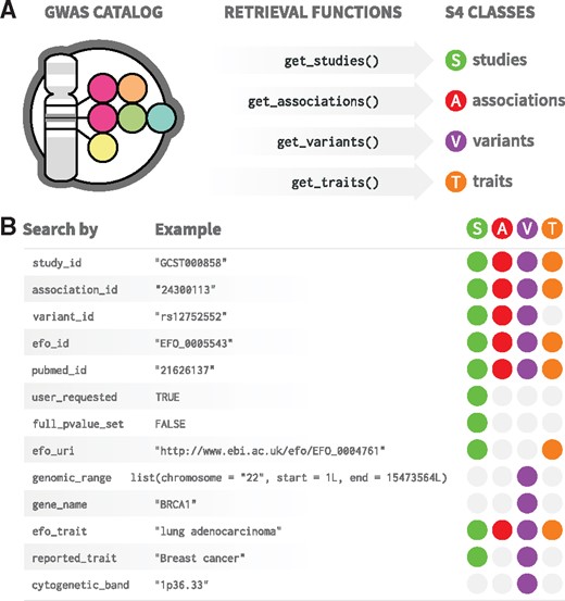 gwasrapidd retrieval functions. (A) Functions for retrieving data from the GWAS Catalog: get_studies(), get_associations(), get_variants() and get_traits(). (B) gwasrapidd search criteria (function parameters) to be used with retrieval functions. Colored circles indicate which entities can be retrieved by which criteria