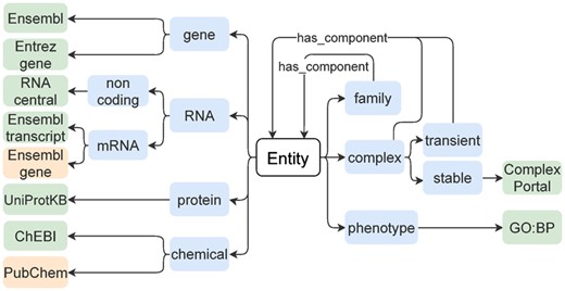 Diagram of entity types and related databases for identifier origin. Blue boxes show the different entity types; green boxes, primarily recommended databases and orange boxes, alternative databases (see also Supplementary File S3). Identifiers from specific databases are recommended for each entity type.