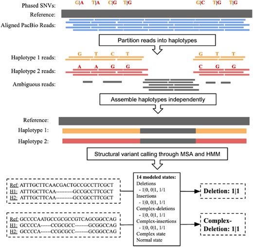 MsPAC workflow. Input reads are partitioned into haplotypes using phased SNVs. Next, partitioned reads are assembled independently. For each interval, the reference sequence and assembled contigs are multiple sequences aligned. Lastly, an HMM evaluates the MSA to return the final SV callset