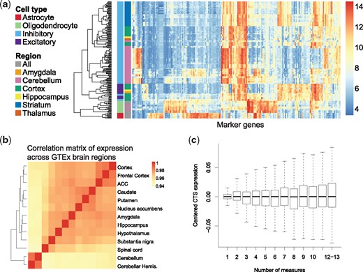 Validation of the assumptions of MIND. (a) Heatmap of expression of cell type marker genes in the NeuroExpresso database of purified-cell samples. Columns denote 192 marker genes selected by CIBERSORT (Newman et al., 2015) from NeuroExpresso. Rows represent purified-cell samples. Purified-cell samples are clustered, then annotated by cell type and brain region (labels on left, scale of expression on right). (b) Correlation matrix of gene expression (heatmap) for brain regions from GTEx samples. (ACC, anterior cingulate cortex; hemis., hemisphere.) (c) Boxplots of centered CTS expression as a function of the number of measures per subject in GTEx brain data. The number of subjects with all 13 measures is small and thus those subjects are combined with subjects having 12 measures. To obtain centered CTS expression, for a given number of measures, the estimated expression per gene and cell-type was first centered, then these estimates were pooled for display