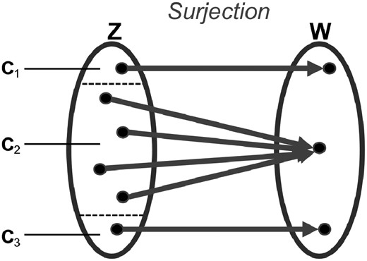 Depiction of a surjective mapping in which elements of the first set map to one and only one element of the second set. Here the surjective mapping is defined by a partition that divides the full set of features, Z, into the subsets, Cj. In the proposed framework, features in sets C1 and C3 would be carried forward to the reduced set without modification, whereas a single new reduced feature would be generated by summarizing all features in subset C2