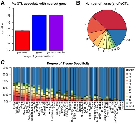 Summary of eQTLs and tissue specificity. (A) The percentage of eQTLs whose eGene is its nearest gene. The three bars represent three different ways to define the nearest gene. For an eQTL-eGene pair, three types of distance are considered: (1) distance to the gene promoter (defined as −2000 ∼ +200 bp of the transcription start site (TSS); (2) distance to the gene body [from TSS to the transcription end site (TES)]; (3) distance to promoter and gene body (from 2000 bp upstream of TSS to the TES). (B) The breakdown of all eQTLs according to the number of tissue(s) in which the eQTL is found to be significant. The percentages are: 1: 38.7%; 2: 14.5%; 3: 8.4%; 4: 5.7%; 5: 4.0%; 6: 3.3%; 7: 2.6%; 8: 2.3%; 9: 1.9%; 10: 1.7%; >10: 16.8%. (C) Distribution of degree of tissue specificity (DTS) of eQTLs within each tissue. Each bar shows the composition of eQTLs with different DTS. Tissues are ordered with an increasing average DTS