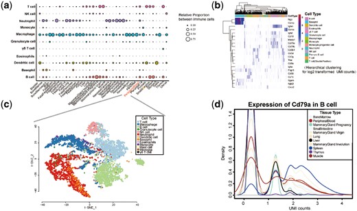 Characteristics of tissue immune cells identified from scRNA-Seq data. (a) Relative proportion of 11 immune cell types in 39 mouse tissues. (b) Hierarchical clustering for the expression of the selected custom marker genes in the scRNA-Seq data of peripheral blood immune cells (log2 transformed UMI counts). (c) A t-SNE visualization of scRNA-Seq data of peripheral blood derived immune cells. Cells are colored according to the cell type. (d) Distribution for the expression of CD79b in B cells across multiple tissues (log2 transformed UMI counts). The lines are colored by tissue type