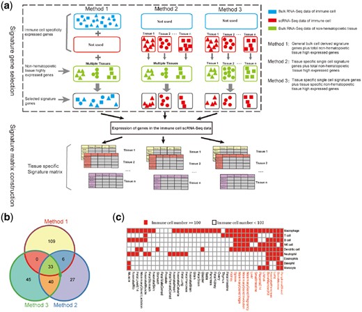 Overview of the different signature matrix construction strategies. (a) Diagram of the three different signature gene selection strategies and signature matrix construction. (b) Venn plot of the signature genes selected in peripheral blood using three different methods. (c) Source for the sequenced immune cell data in each tissue. The red squares indicate that the amount of immune cell sequencing data directly derived from that tissue was sufficient, whereas the white squares indicate the cell number is less than 100 and the peripheral blood derived immune cell was replaced (the scRNA-Seq data of eosinophils is not shown because it was not detected in the peripheral blood)