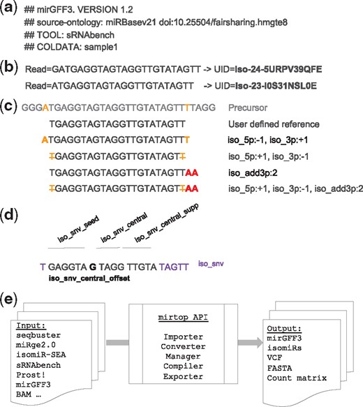 The mirGFF3 file format and the mirtop API. (a) Example of input file header and the required lines: file format version, database used and samples included. (b) Examples of sequence compression to uniquely identify each sequence. (c) Examples of isomiRs with changes at the 5’- and 3’-ends and their respective variant attributes. The first sequence represents a portion of the miRNA precursor (i.e. pre-miRNA) and the second sequence is the reference isomiR defined by the user or the database used. Bold orange letters indicate templated additions. Bold red letters indicate non-templated additions at the 3’-end of the isomiR. Orange strikethrough letters indicate non-templated nucleotide additions at the 3’-end of the isomiR. (d) Example of nucleotide changes at different positions/regions of the isomiR and their respective naming. (e) The mirtop API workflow shows the main formats accepted as input files, the functions the Python API have implemented and the output file formats