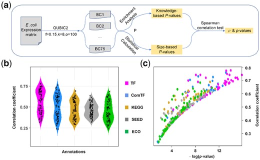 Validation on the rationality of the statistical framework. (a) The workflow of correlation test between knowledge-based P-value and size-based P-value; (b) The distribution of correlation coefficients (ρ) between P-value obtained from enrichment analysis and size-based P-value. We run QUBIC2 under 70 different parameter settings, and ρ was calculated under each run; (c) Scatter plot of correlation coefficients and p-values. The y-axis denotes the correlation coefficient for the spearman association test, and the x-axis denotes the p-value of the association test