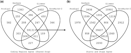 Overlap in gene predictions. (a) Venn diagram of the number of shared predicted coding regions (i.e. predicting the same stop) among Prodigal, GeneMarkS-2, GenBank and Glimmer for all 20 test strains. (b) Venn diagram of shared predicted starts for the 59 131 coding regions predicted by all four sources of gene predictions. While most starts are shared across all four, there was greater disagreement among start positions than stop positions