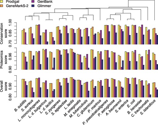 Comparison of scores across the prokaryotic tree of life. Prodigal and GeneMarkS-2 obtained the highest scores for most genomes, while GenBank's scores were more variable. Strains are sorted by their ordering in a phylogenetic tree built from the 16S ribosomal RNA gene (top)