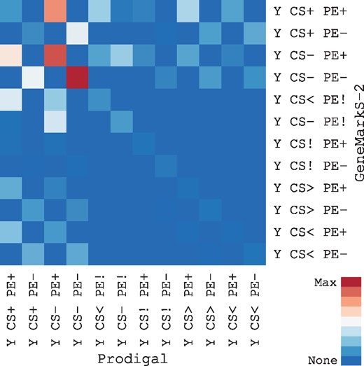 Comparison of Prodigal and GenMarkS-2 predictions. Heatmap of the set of genes where Prodigal and GeneMarkS-2 predicted the same stop but a different start in all 20 genomes. The highest values were along the diagonal where AssessORF assigned genes predicted by Prodigal and GeneMarkS-2 to the same category. There were slightly more instances where a GeneMarkS-2 start was conserved (‘CS+’) and the corresponding Prodigal start was not conserved (‘CS-’, ‘CS<’, or ‘CS>’) than vice versa