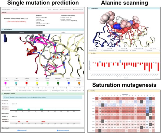 mCSM-AB2 web server result pages. Single mutation prediction (left) provides predicted ΔΔGAffinity and interaction changes upon mutation via a 3D molecular viewer for both wild-type and mutant. Alanine scanning (right top) describes mutational effects on interface residues with molecular viewer and bar charts. In saturation mutagenesis analysis (right bottom), users can check Ab–antigen affinity changes for each of the 19 possible mutations for each interface residues