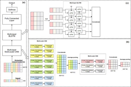 The architecture of CLPred. (a) The overall workflow of CLPred. (b) The architecture of the CNN module. (c) BLSTM module. The discrete raw sequence is transformed into a dense, continuous vector through feature embedding and then fed into the CNN layer with multi-scale convolution kernels to capture local amino acid k-mers features. The extracted characteristic map of the CNN layer is passed to BLSTM concatenating the forward and backward information to capture the long-range interaction characteristics between k-mers. Finally, all the BLSTM outputs are passed to the fully connected layers to produce protein crystal prediction scores