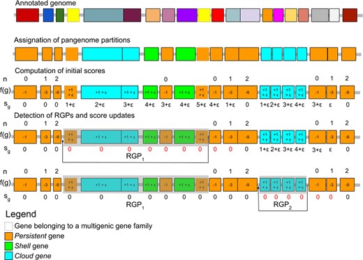 Overview of the RGP detection method. The different steps of the RGP detection method are presented. Boxes represent protein-coding genes and their color is indicative of their gene families for the annotated genome and their pangenome partition for the other genome representations. Dashed boxes indicate genes belonging to multigenic gene families. In this example, two RGP are detected. RGP1 has a score of 5, and RGP2 a score of 4. n values indicate for each gene the number of downstream consecutive genes classified as persistent. f(g) values indicate the result of a function that is used to compute the gene score sg. In this example, the default values for p and v parameters are used and are 3 and 1, respectively
