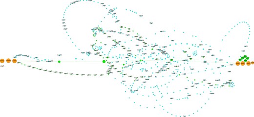 Pangenome subgraph of the leuX hotspot in MAGs of E.coli. This figure illustrates the genetic diversity of the leuX hotspot both in terms of gene content and genome organization. Each node is a gene family and an edge is drawn between two families that share neighboring genes. Colors for persistent, shell and cloud pangenomes partitions are orange, green and blue, respectively. The size of the nodes is proportional to the number of occurrences in the spot. For each family, the most represented gene name is indicated. The tRNA leuX and the fim operon are not represented as they are not members of spot predicted by panRGP. leuX is located next to yjgB and the fim operon is just before nanC. This visualization was produced using Gephi (Bastian et al., 2009) and the ForceAtlas2 layout algorithm (Jacomy et al., 2014)