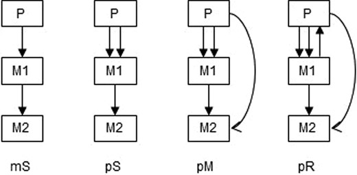 Examples of clone seeding scenarios used for generating simulated data (El-Kebir et al., 2018), arranged by complexity: single clones migrating from single tumor sources (mS, monoclonal single-source seeding) or from multiple tumors (pS, polyclonal single-source seeding), and multiple clones migrating from multiple sources (pM, polyclonal multi-source seeding) or migrating from metastasis back to primary (pR, polyclonal reseeding). Redrawn from Chroni et al. (2019).