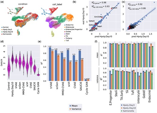(a) UMAP visualization of conditions and cell type for gut cells. (b and c) Mean and variance expression of 1000 genes comparing trVAE-predicted and real infected Tuft cells together with the top 10 differentially expressed genes highlighted in red (R2 denotes Pearson correlation between ground truth and predicted values). (d) Distribution of Defa24: the top response gene to H.poly.Day10 infection between control, predicted and real stimulated cells for different models. Vertical axis: expression distribution for Defa24. Horizontal axis: control, real and predicted distribution by different models. (e) Comparison of Pearson’s R2 values for mean and variance gene expression between real and predicted cells for different models. Center values show the mean of R2 values estimated using n = 100 random subsamples for the prediction of each model and error bars depict standard deviation. (f) Comparison of R2 values for mean and variance gene expression between real and predicted cells by trVAE for the eight different cell types and three conditions. Center values show the mean of R2 values estimated using n = 100 random subsamples for each cell type and error bars depict standard deviation