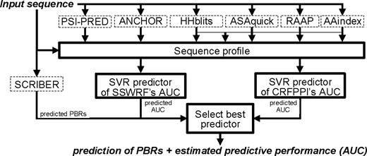 Flowchart of the PROBselect consensus predictor. Input and outputs are denoted with italic font. Elements with solid boundaries were developed in this article