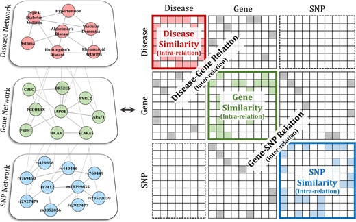 Representation of the multi-layered network as a matrix. The constructed SNP-gene-disease network is represented by a huge matrix that contains both intra-relation and inter-relation