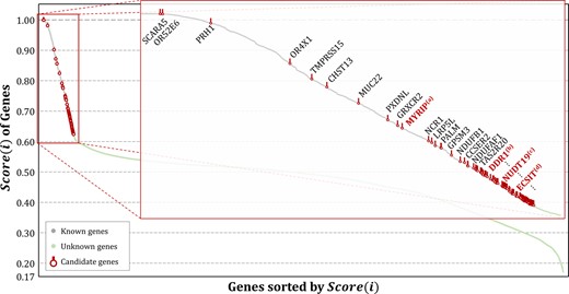 Results of key gene identification for AD. The proposed method provides scores for every gene and recommends candidate key genes based on the rank of genes where associations with AD are yet unknown. Some candidate genes were verified from PubMed literature reviews that present the possibility of affecting AD. The remaining genes are left as possible candidate genes