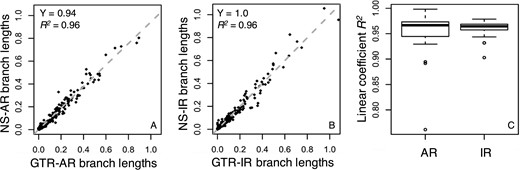 Branch lengths comparisons between GTR and NS data. Branch lengths inferred using the GTR + Γ model for (A) an AR dataset and (B) an IR dataset simulated under the GTR model (x-axis, model case) and the NS model (y-axis, model case) show a good linear relationship. The gray-dashed line is the best-fit linear regression through the origin. The slope (Y) and coefficient of determination (R2) are shown. (C) The dispersion of the linear trends of branch lengths. Boxes show the variation of the coefficient of determination of the linear regression (through the origin, R2) between branch lengths inferred using the GTR + Γ model for 50 GTR and 50 NS datasets simulated under AR and IR scenarios