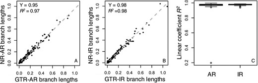 Branch length comparisons for GTR and NR datasets. Branch lengths were inferred by using the GTR + Γ model for (A) an AR dataset and (B) an IR dataset simulated under the GTR model (x-axis, model-match case) and the NR model (y-axis, model-mismatch case). They all show good linear relationships. The gray-dashed line is the best-fit linear regression through the origin. The slope (Y) and coefficient of determination (R2) are shown. (C) The dispersion of the linear trends of branch lengths. Boxes show the variation of the coefficient of determination of the linear regression (through the origin, R2) between branch lengths inferred using the GTR + Γ model for 50 GTR and 50 NR datasets simulated under AR and IR scenarios
