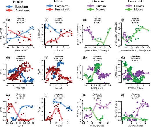 Diverse second-order differential gene co-expression patterns between tissue groups and across species reported by the Sharma–Song test. Each plot represents a gene pair common to human and mouse. (a–c) Between human ectoderm- and primitive streak-derived tissue groups. (a) FANTOM5: p1@PDE3B–p1@HS3ST1, (b) Evo-devo: DNAJC12–IDH1, (c) Yang et al.: EBF1–DAO. (d–f) Between mouse ectoderm- and primitive streak-derived tissue groups. (d) FANTOM5: p1@Aplnr–p1@Btbd3, (e) Evo-devo: Masp1–Zfp57, (f) Yang et al.: Mef2c–Timp4. (g–i) Between human and mouse ectoderm-derived tissue groups. (g) FANTOM5: p1@Skap2, p1@SKAP2–p1@Neu3, p1@NEU3. (h) Evo-devo: Ago4, AGO4–Amz2, AMZ2. (i) Yang et al.: Crhbp, CRHBP–Pde1c, PDE1C. (j–l) Between human and mouse primitive streak-derived tissue groups. (j) FANTOM5: p1@Mapkapk3, p1@MAPKAPK3–p1@Rab23, p1@RAB23 (k) Evo-devo: Ednra, EDNRA–Aass, AASS. (l) Yang et al.: Acox2, ACOX2–Tm4sf5, TM4SF5