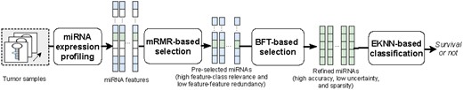 Framework of the proposed prognosis model. The squares in each step represent the miRNA features. The white biomarkers represent those non-selected features. The mRMR-based feature selection method first selects those blue and green biomarkers which yield high feature-class relevance and low feature-feature redundancy. The BFT-based feature refinement method further determines those sparse biomarkers (green) which yield low feature-label uncertainty and high classification accuracy