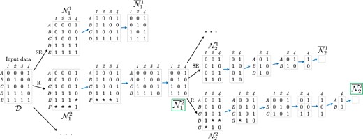 Example of a reconstructed history for the dataset in Figure 1. Stars ‘⋆’ denote non-ancestral material. SE: recurrent mutation occurring on a terminal branch of the ARG. R: recombination event. A sequence of blue arrows corresponds to one application of the ‘Clean’ algorithm. Green boxes highlight the selected states