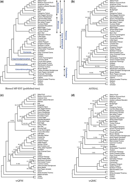 Estimated trees on the avian dataset with 14 446 genes. (a) Reference trees from the original paper (Jarvis et al., 2014) using MP-EST with statistical binning (Mirarab et al., 2014c), (b–d) trees estimated by ASTRAL, wQFM and wQMC, respectively, on 14 446 unbinned gene trees. Two branch support (BS) values are shown: the first value (without parentheses) is based on site-only MLBS and the second value (with parentheses) is quartet-based local posterior probability (multiplied by 100). All BS values are 100% except where noted