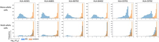 The distribution of predicted binding affinity of the MS peptides from mono-allelic cells (top) and multi-allelic cells (bottom) and those MS datasets mixed with random peptides, as histograms for six representative HLA alleles