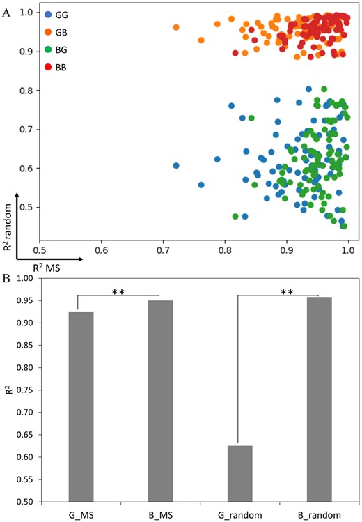 Similarity measurement of model fitting data distribution. (A) The scatter plots of R2 values from MS datasets (x-axis) and random (y-axis) datasets of 85 HLA alleles that were fitted by beta or Gaussian model; a mixture of Gaussian-Gaussian (GG), a mixture of Gaussian-beta (GB), a mixture of beta-Gaussian (BG), a mixture of beta-beta (BB). (B) The average R2 of Gaussian and beta model fitting MS and random datasets from 85 HLA alleles. Each bar represented the mean of R2 from 85 HLA alleles. (*P-value < 0.05, **P-value < 0.01); Gaussian fitting MS data (G_MS), beta fitting MS data (B_MS), Gaussian fitting random data (G_random), beta fitting random data (B_random)