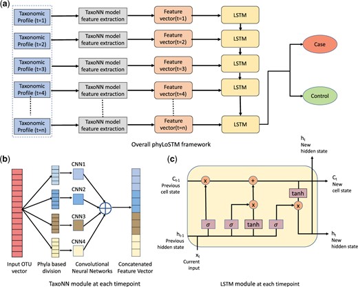Overall Framework for longitudinal microbiome analysis for disease prediction. (a) Proposed ’phyLoSTM’ framework. (b) Stratified CNN (taxoNN) module for feature extraction. (c) LSTM network module to learn temporal dependencies
