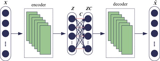 Structure of DSCN