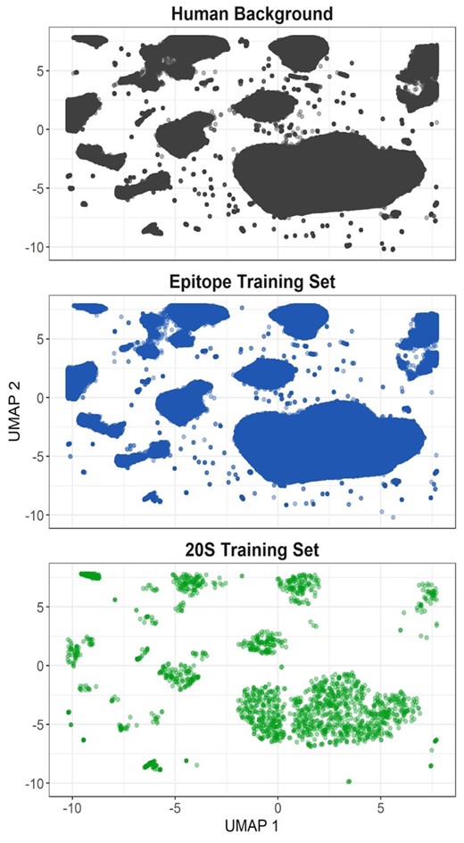 Training set projections in UMAP space. Amino acid windows (21 residues long) were generated for the whole human proteome (gray), all epitope training examples (blue) and all 20S training examples (green). Principle components were generated from the physical properties of each amino acid at each window position. UMAP projections were generated from the first 10 principal components