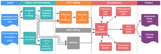Detailed depiction of DTUrtle’s workflow. First, transcript-level quantification counts and annotation data are read-in and formatted. For tagged-end data, the calculation of a priming bias detection probability for each transcript can be conducted. In a second step, the filtering and DTU calling is performed with DRIMSeq, followed by two-stage statistical correction with stageR and optional post-hoc filtering. Alternatively, DGE calling can be performed with DESeq2. The analyses results can be aggregated to a results tables, including four distinct visualization options. Finally, the results table can be exported as an interactive HTML-table. The DTUrtle object is gradually built during this workflow and contains all final and intermediate results for further processing and analysis