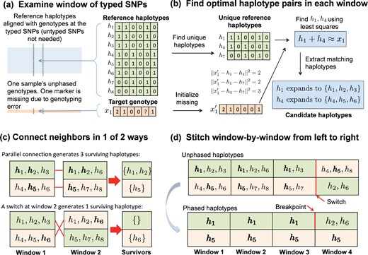 Overview of MendelImpute’s algorithm. (a) After alignment, imputation and phasing are carried out on short, nonoverlapping windows of the typed SNPs. (b) Based on a least squares criterion, we find two unique haplotypes whose vector sum approximates the genotype vector on the current window. Once this is done, all reference haplotypes corresponding to these two unique haplotypes are assembled into two sets of candidate haplotypes. (c) We intersect candidate haplotype sets window by window, carrying along the surviving set and switching orientations if that result generates more surviving haplotypes. (d) After three windows, the top extended chromosome possesses no surviving haplotypes, but a switch to the second orientation in the current window allows h5 to survive on the top chromosome. Eventually, we must search for a break point separating h1 from h2 or h6 between windows 3 and 4 (bottom panel).