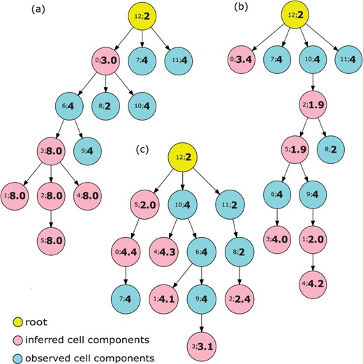 Phylogenetic trees for observed and inferred cell components on simulated data. The yellow node represents a diploid root cell, the pink nodes are inferred cell components and the light blue nodes are observed cell components. The number pair inside each node provides NodeIndex;Ploidy. (a) is the result from the model only including the J(S,C,C′) term, (b) from the model including J(S,C,C′) and ||XTCP−H′|| and (c) from the complete model
