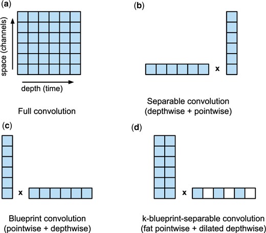 Comparison of different convolution factorizations. Individual filled squares represent input values convolved with a weight tensor to a single output or intermediate value. Our k-blueprint-separable convolutions introduce a novel combination of basic blocks. (a) Cin=Cout=128 and tensor size (4, 1668, 128) and (b) Cin=Cout=256 and tensor size (4, 556, 256)